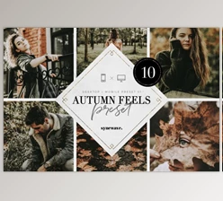 Download Autumn Feels Lightroom Presets By SYNCWAVE (Mob, Desk)