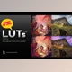 Download 20 GREAT LUT colour settings By gagatka