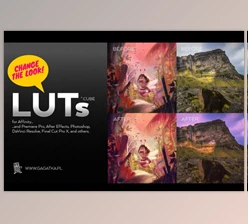 Download 20 GREAT LUT colour settings By gagatka