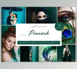 Download 10xLightroom Presets Peacock Presets By Kzara Visual Concepts (Mob, Desk)