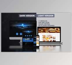 Download Website Presentation (Dark & Light) (Videohive 9725975) - AE Project