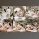 Download Bright & Airy Wedding Preset Pack By PixelHive Pro