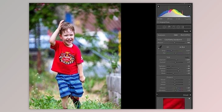 Download Color Fidelity – Canon EOS R4 Profiles (XMP)