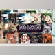 Download Pet Lovers Lightroom Presets By Design Addict (Mob, Desk)