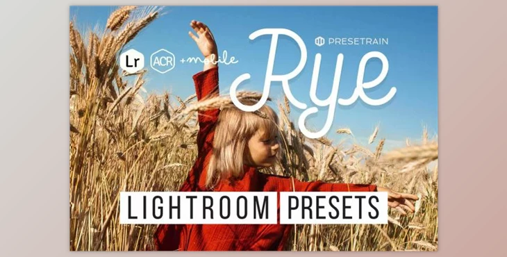 Download Rye Lightroom & ACR Presets By Presetrain Co (Mob, Desk)