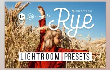 Download <span class='badge badge-warning'>Rye</span> Lightroom & ACR Presets By Presetrain Co (Mob, Desk)