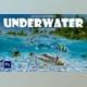 Download Underwater Photoshop Actions By FixThePhoto