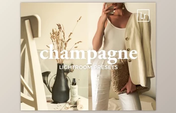 Download <span class='badge badge-warning'>4</span> Lightroom Presets CHAMPAGNE By Graace Studio (Mob, Desk)