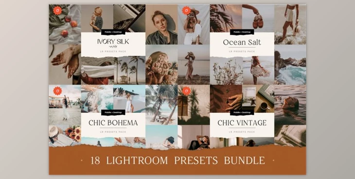 Download 18 TOP Chic Presets Bundle By BukeShop