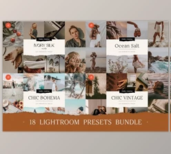 Download 18 TOP Chic Presets Bundle By BukeShop