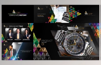 Download 3D Triangle Concept Corporate <span class='badge badge-warning'>Profile</span> (Videohive 21482481) - AE Project