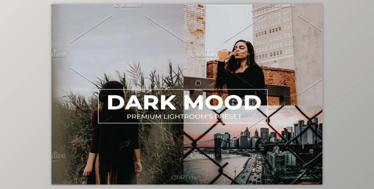 Download Dark Mood Lightroom Preset By qrrtyn (Mob, Desk)