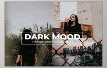 Download Dark <span class='badge badge-warning'>Mood</span> Lightroom Preset By qrrtyn (Mob, Desk)