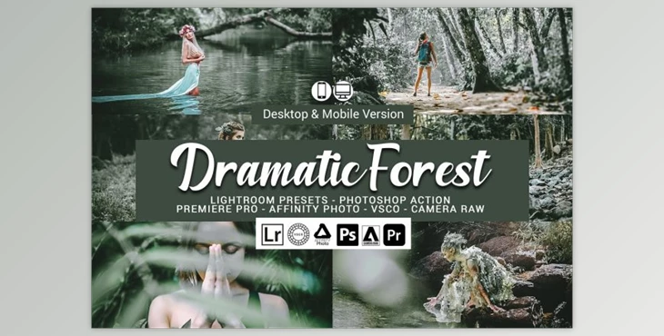 Download Dramatic Forest Presets By DreamColor