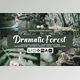 Download Dramatic Forest Presets By DreamColor