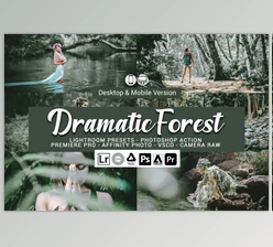 Download Dramatic Forest Presets By DreamColor