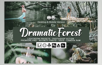 Download Dramatic Forest <span class='badge badge-warning'>Presets</span> By DreamColor