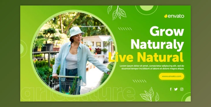 Download Agriculture Promo (Videohive 33738846) - AE Project