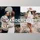 Download 5 WANDERLUST LIGHTROOM PRESETS By KIIN