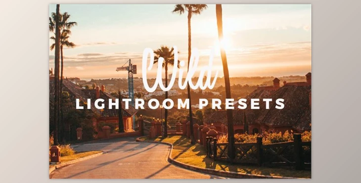Download WILD Preset Pack By November Studio (lrtemplate)