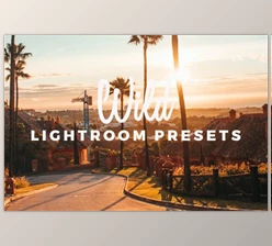 Download WILD Preset Pack By November Studio (lrtemplate)