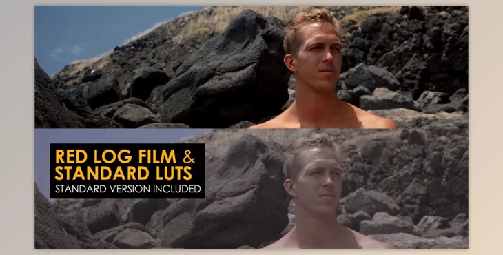 Download Red Log Film And Standard Luts (Motionarray 1007075) - AE Project