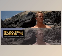 Download Red Log Film And Standard Luts (Motionarray 1007075) - AE Project