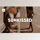 Download 7 SUNKISSED LIGHTROOM PRESETS By Hot Buns Presets (Mob, Desk)