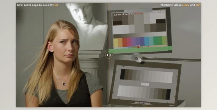 Download The Brim – Linny Rebuild LUTs (cube, jpg, drx)