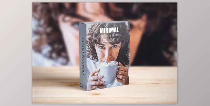 Download Minimal Lightroom Presets By AAA Presets (Mob, Desk)
