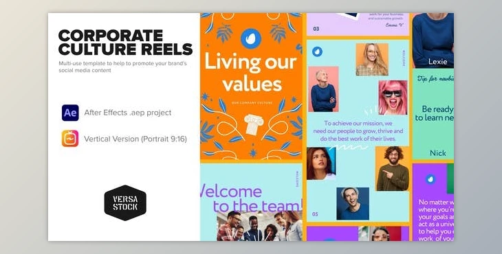 Download Vertical Corporate Culture Book Stories (Videohive 33838652) - AE Project