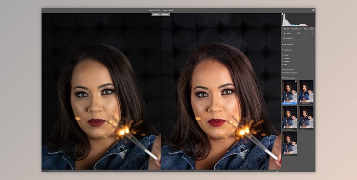 Download Color Fidelity – Canon R6 Profiles (XMP, TXT, PDF)