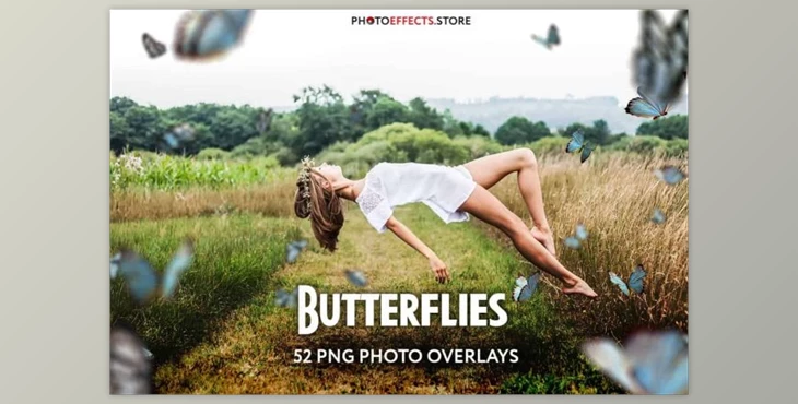 Download 52+ Butterflies Photo Overlays 6414950 (PNG, PSD)