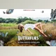 Download 52+ Butterflies Photo Overlays 6414950 (PNG, PSD)