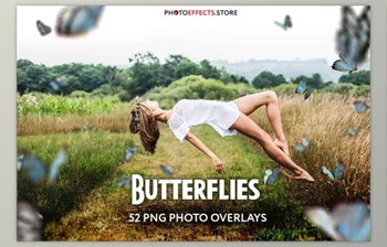 Download 52+ Butterflies Photo <span class='badge badge-warning'>Overlays</span> 6414950 (PNG, PSD)