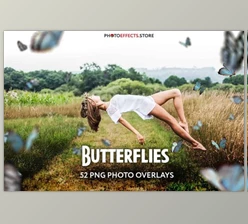 Download 52+ Butterflies Photo Overlays 6414950 (PNG, PSD)