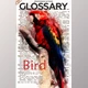 Download Glossary Photoshop Action By RedVokinputs (PSD, ABR, PAT, ATN)