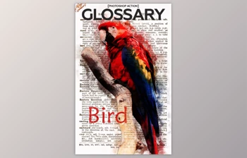 Download Glossary Photoshop Action By RedVokinputs (PSD, ABR, <span class='badge badge-warning'>PAT</span>, ATN)