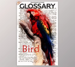 Download Glossary Photoshop Action By RedVokinputs (PSD, ABR, PAT, ATN)