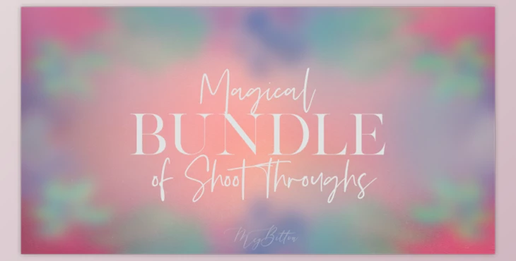 Download Magical Bundle of Shoot Throughs by Meg Bitton (PNG)