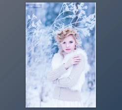 Download 5 Professional Winter Actions + Snow Flakes Action By AlexKuzmichev (ATN)