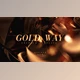 Download Gold Way (Videohive 33907333) - AE Project