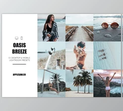 Download Oasis Breeze Lightroom Presets 3865859 (Mob, Desk)