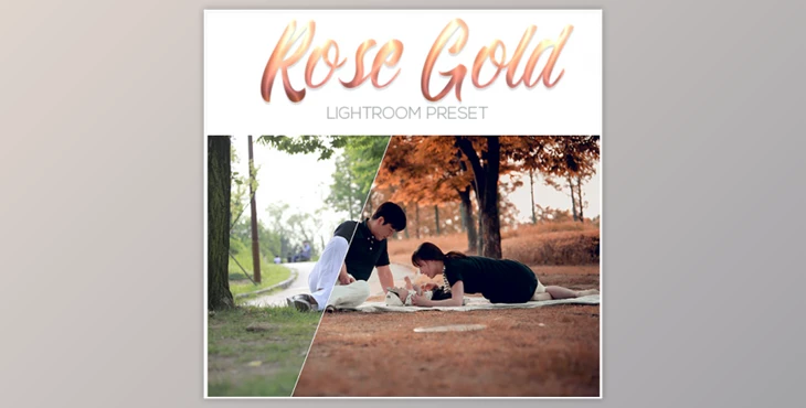 Download Rose Gold Lightrom Preset 20534862 (LRTemplate)