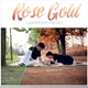 Download Rose Gold Lightrom Preset 20534862 (LRTemplate)