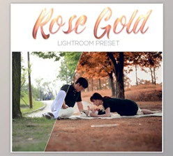 Download Rose Gold Lightrom Preset 20534862 (LRTemplate)