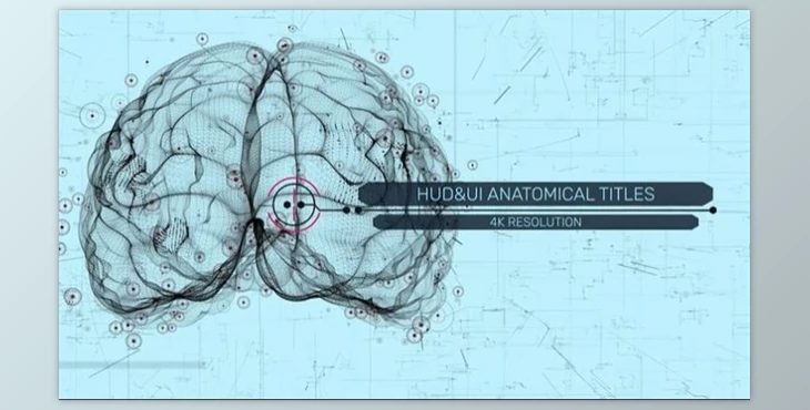 Download HUD UI Anatomical Titles (Motionarray 989989) - AE Project