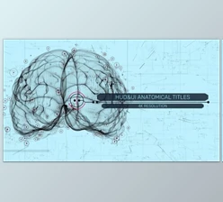 Download HUD UI Anatomical Titles (Motionarray 989989) - AE Project
