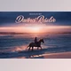 Download Davinci Resolve LUTs Creativemarket 4165424
