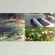 Download Summer Trip (Videohive 4428108) - AE Project